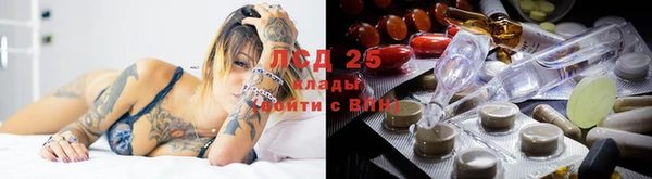 дживик Абинск