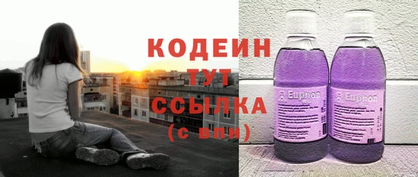 дживик Абинск