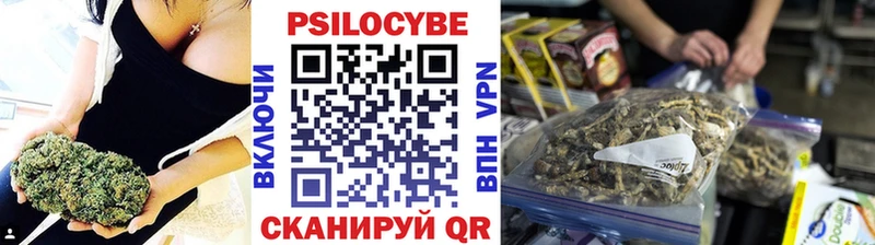 Галлюциногенные грибы Psilocybe  Белая Калитва 